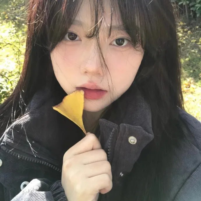 男孩与桥